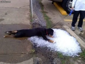 Make sure your home stays cool in the summer heat with an AC tuneup from Integrity Air Conditioning.